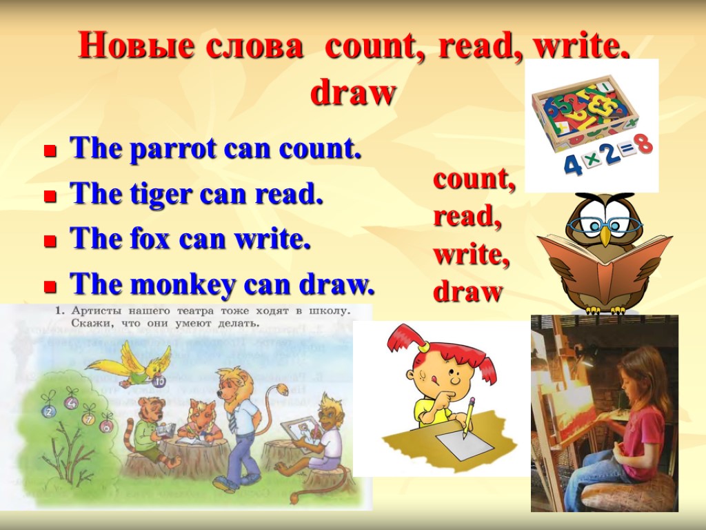 Новые слова count, read, write, draw The parrot can count. The tiger can read.